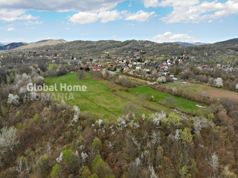 Valea Prahovei Mountain Plateau - 23.345 SQM - Exclusive Estate  Jud Prahova
