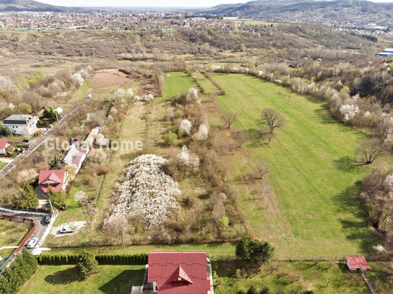 Valea Prahovei Mountain Plateau - 23.345 SQM - Exclusive Estate  Jud Prahova