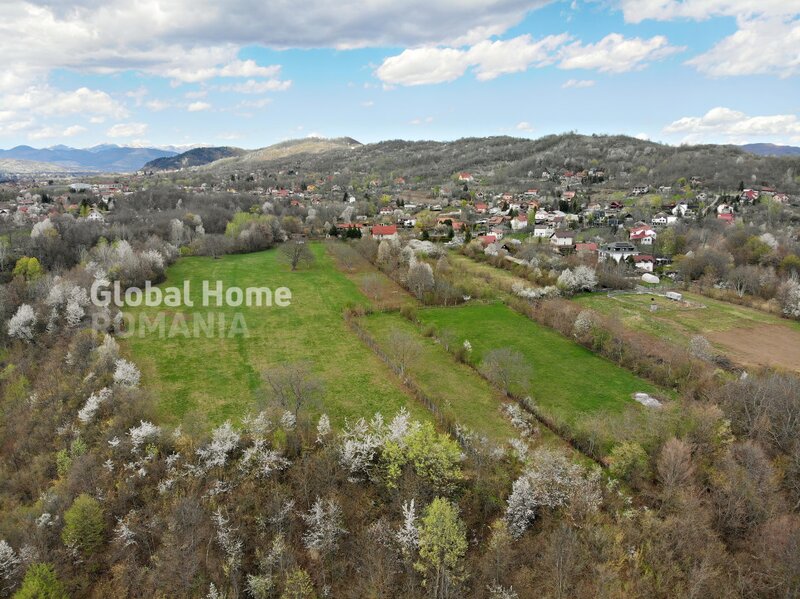 Valea Prahovei Mountain Plateau - 23.345 SQM - Exclusive Estate  Jud Prahova